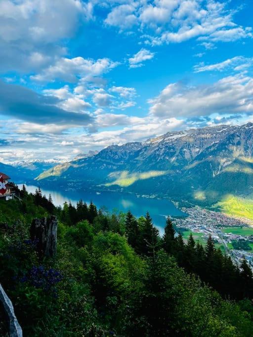 Cute & Cozy Oasis, Private Afternoon Sun Terrace Apartment Kandersteg Exterior photo