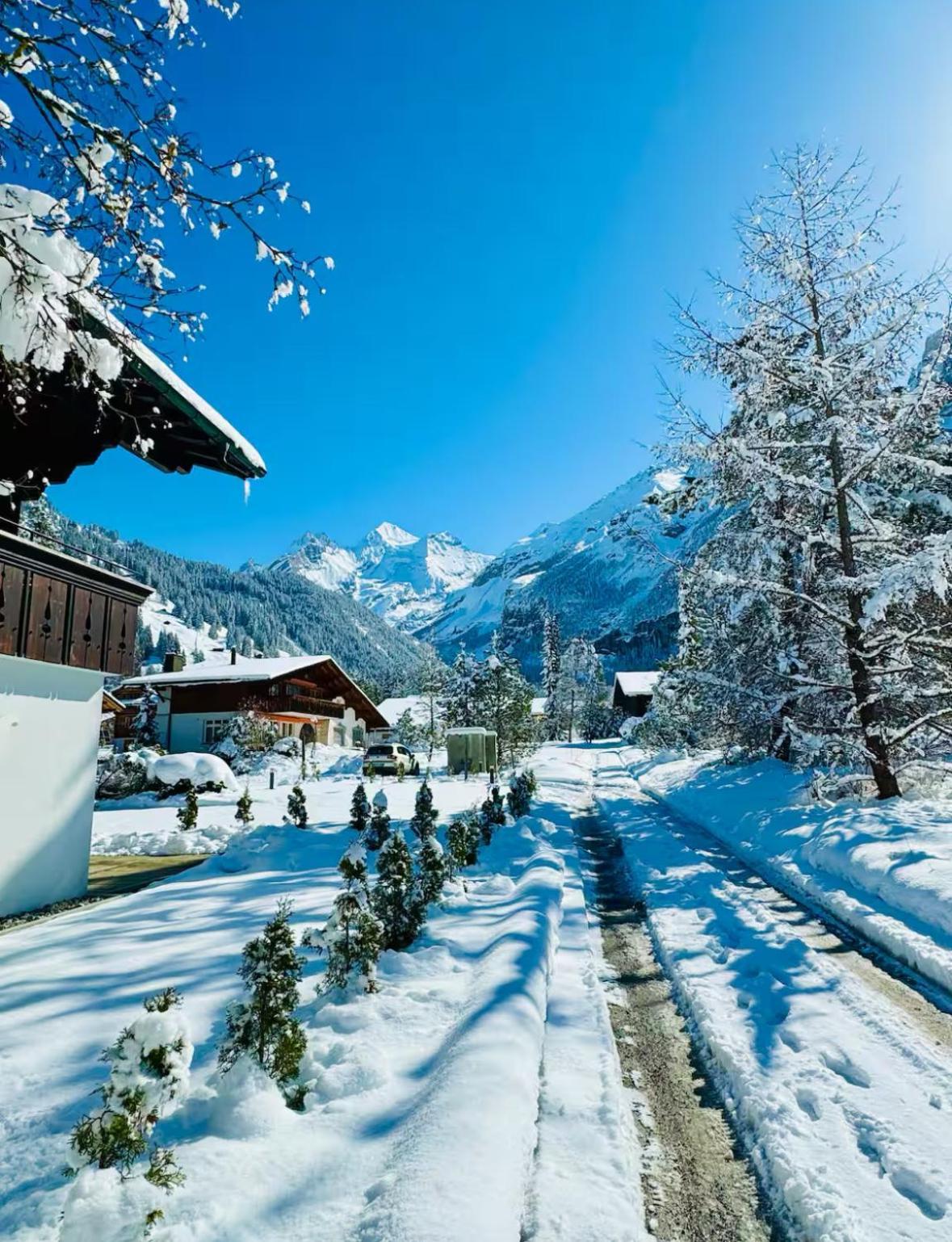 Cute & Cozy Oasis, Private Afternoon Sun Terrace Apartment Kandersteg Exterior photo